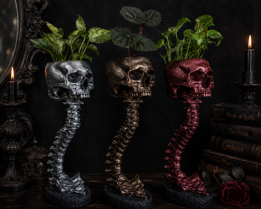Hollow Hearth Skull & Spine Set