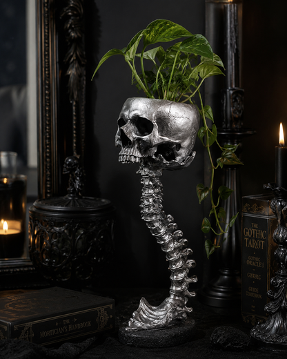 Hollow Hearth Skull & Spine Set