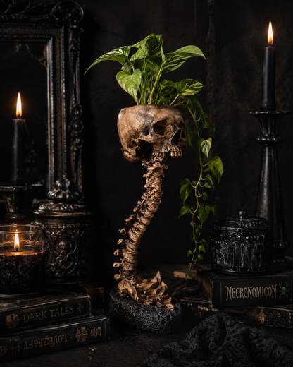 Hollow Hearth Skull & Spine Set