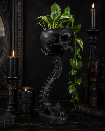 Hollow Hearth Skull & Spine Set